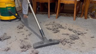 The clear Vax 3 in 1 vacuum cleaner [Very rare]  First look, overview & Demonstration