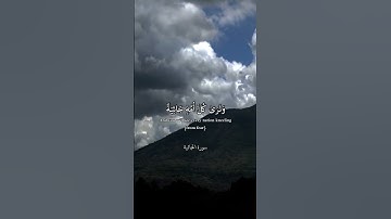 تلاوه من كتاب الله من سوره الجاثيه ولله ملك السماوات والارض ويوم تقوم الساعه يومئذ يخسر المبطلون💕