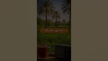 مُّحَمَّدٌ رَّسُولُ اللَّهِ ۚ وَالَّذِينَ مَعَهُ | سيد تقي شكري | سورة الفتح