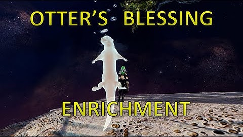 Guild Wars 2 - Otter