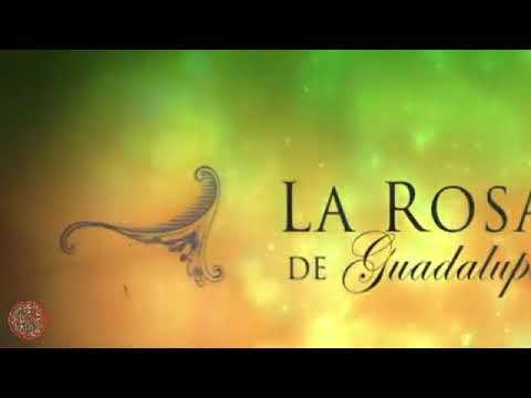 La Rosa de