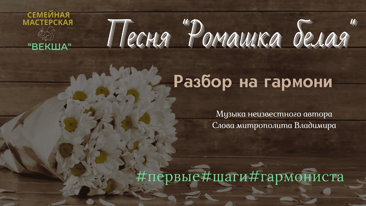 Белые ромашки с нашей улицы кто