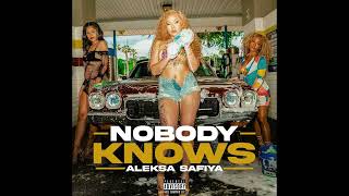 Aleksa Safiya - Nobody Knows (Official Audio)