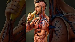 10 Amazing Health Benefits of Bananas You Don’t Know! 🍌😱 #banana #healthfacts #science #doctor