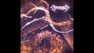 Capharnaum - Ingrained