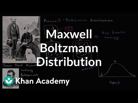 Population Video