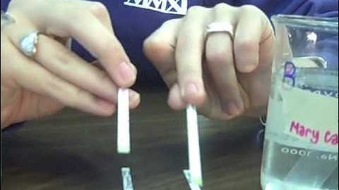 osmosis and diffusion lab report video