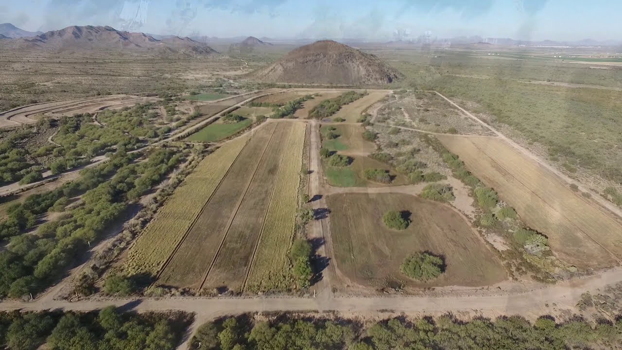 Arizona Game and Fish Department: Robbins Butte Wildlife Area