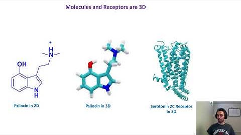 Psilocin bound to Serotonin Receptors Part 1