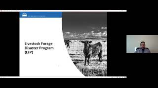 FSA Programs Update