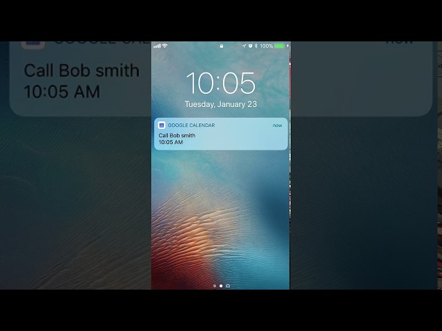 Google Calendar Reminders on iPhone 