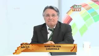 Avrupa Yavru Çürüklüğü Tedavi Yöntemi