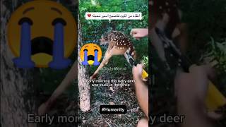 Animal And Humanity does exist? #humanity #shorts #youtubeshorts