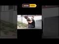 Most Dangerous Dog Breeds in the World part ll
