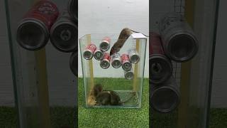Perfect Homemade Mouse Trap From Scrap Cans // Mouse Trap 2 #Rat #Rattrap #Mousetrap #Shorts