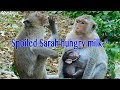 Try Not To Laugh- Spoiled Sarah Acting So Funny During Hungry Milk Try To Sit Nearly With Mama Sara