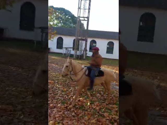 Estancia Santa Rita,  Punta Indio, Buenos Aires 🐎🐎🐎♥️ Tierras Querandíes mucho más que cabalgatas...