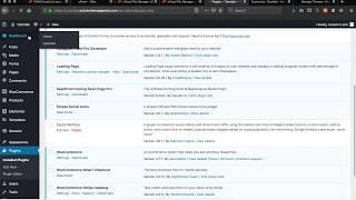 WordPress Tutorial: How to update themes & plugins screenshot 2