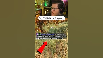 DayZ With Good Graphics?