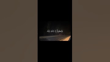 ماتيسر من سورة الأنبياء للقارئ جابر القيطان #قرآن #قران_كريم #quran