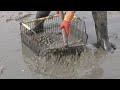 Film  vidéo de pêche Bretagne: "Coquillages et crustacées" Réalisation André Espern