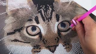 Kruidvat kat diamond painting - Is het jouw aankoop waard?