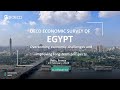 Oecd economic survey of egypt 2024