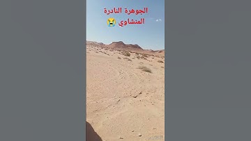 هاوي الخرجات الصحراوية قناة 2/ القارئ الشيخ محمد صديق المنشاوي رحمه الله مقطع مزلزل خاشع 😭