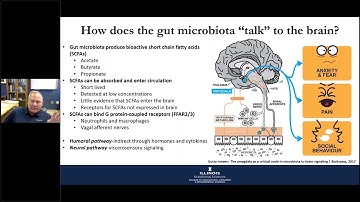 Exercise, Diet, and Gut Brain Axis  Webinar Series on Gut Brain Axis and Microbiome Illinois