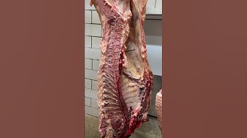 Splitting a Beef into Quarters #shorts