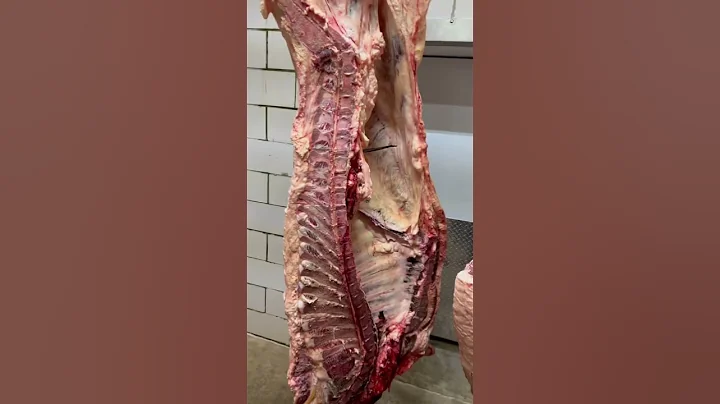 Splitting a Beef into Quarters #shorts - DayDayNews