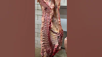 Splitting A Beef Into Quarters Shorts 