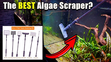 A Surprisingly Good Value! Hygger Algae Scraper Review