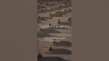 عشائية لأواخر سورة الزمر