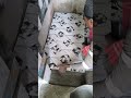2-2 tiles.@SimpleDreamAi #dream #aivideo #simple @MrBeast
