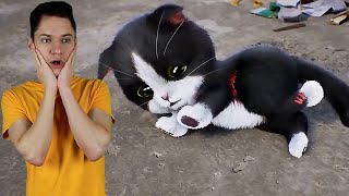 Kitten Match World in Real Life - Cute Cat on the Railroad Ep #8