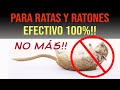 LA MEJOR TRAMPA CASERA PARA RATAS Y RATONES ¡¡FUNCIONA!