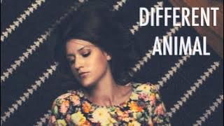 Different Animal - Natalie Taylor (featured in MTV's Finding Carter)