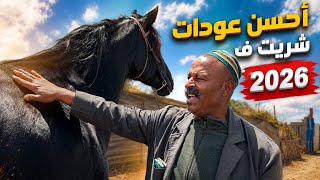     شريت عـودات مخزنيات كنز حقيقي 🥇 وحدة صدماتني 😱 بنت أشهر فحل فالمغرب رعــد🌩️