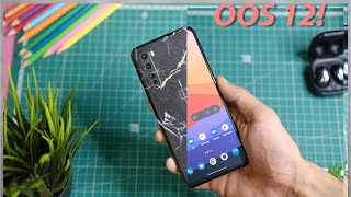 Oneplus Nord Ft Oxygen Os 121 Beta Review  All You Need To Know 