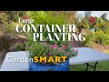 GardenSMART Tips, Planting a Container