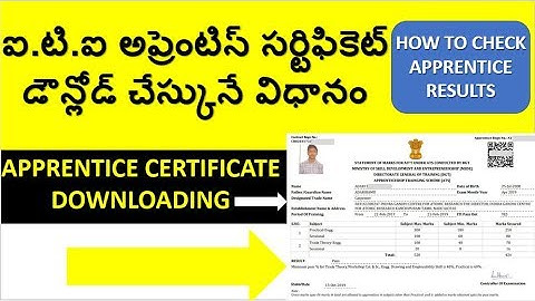APPRENTICE RESULTS 2019 || HOW TO DOWNLOAD APPRENTICE CERTIFICATE 2019