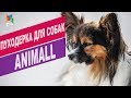 Пуходерка для собак Animall | Обзор пуходерки для собак Animall
