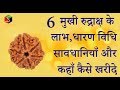6           ll 6 mukhi rudraksha benefits