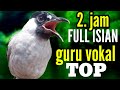 kutilang gacor full isian ||  guru vokal TOP 2 jam