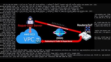 Rogue-DNS Server On AWS EC2 Cloud - Intercepting WAN-LAN DNS Traffic