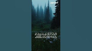 قَالَ إِنَّمَا أَشْكُو بَثِّي وَحُزْنِي إِلَى اللَّهِ - تلاوة هادئة - القارئ: أنس جلهوم.