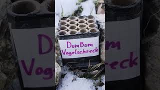 Silvester Vorfreude #6 Silvester 2024