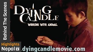 New Nepali Movie DYING CANDLE Pt. 2 Behind The Scenes 2017/2073 | Working With Animals