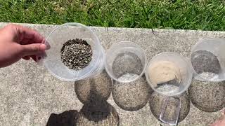 Water Filtration Activity for Kids